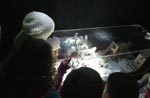 Kinder der FES in der Grundgesetz-Ausstellung